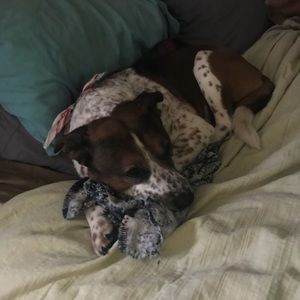 Meet your Posher, Cait